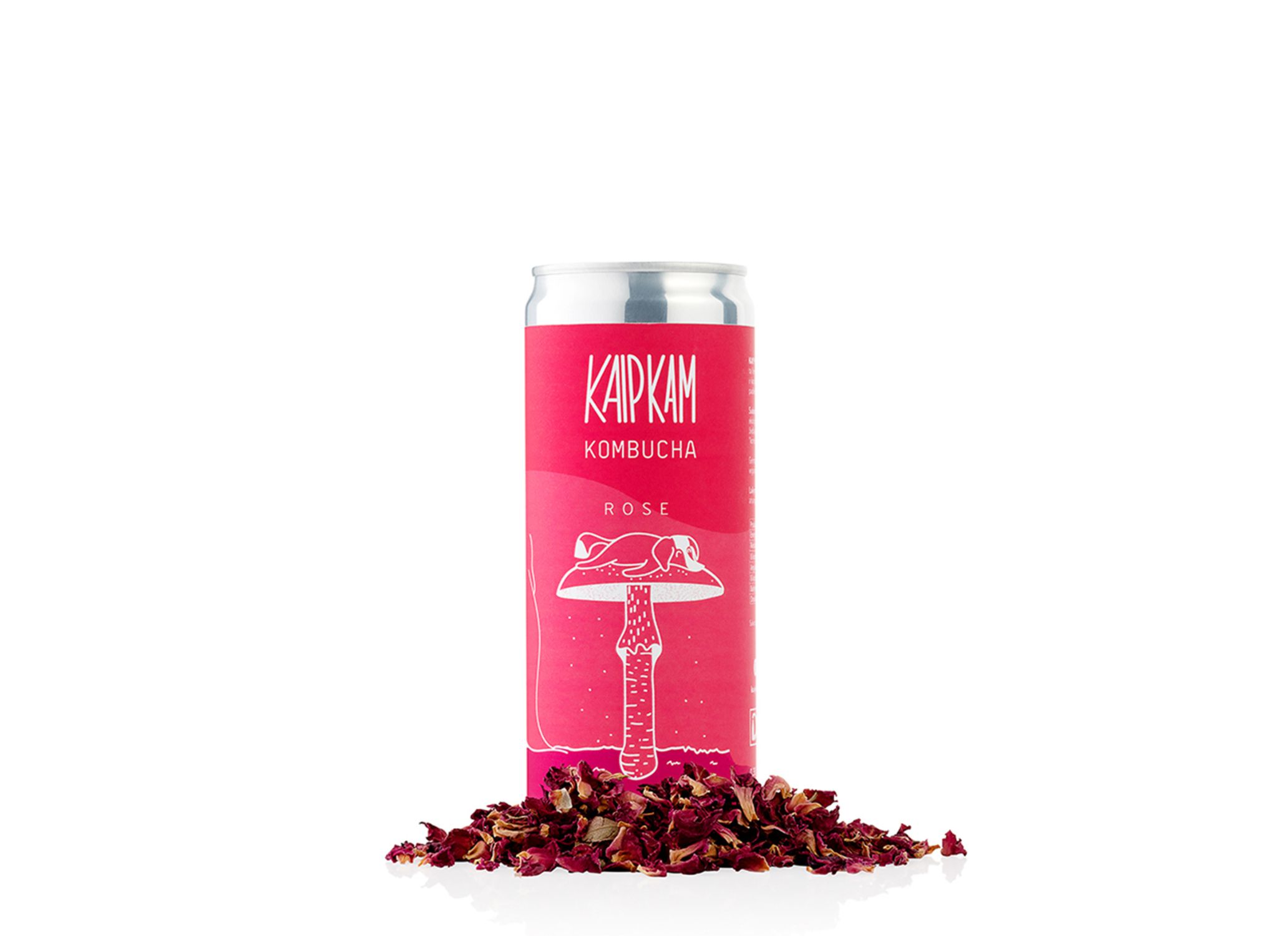 Kombucha