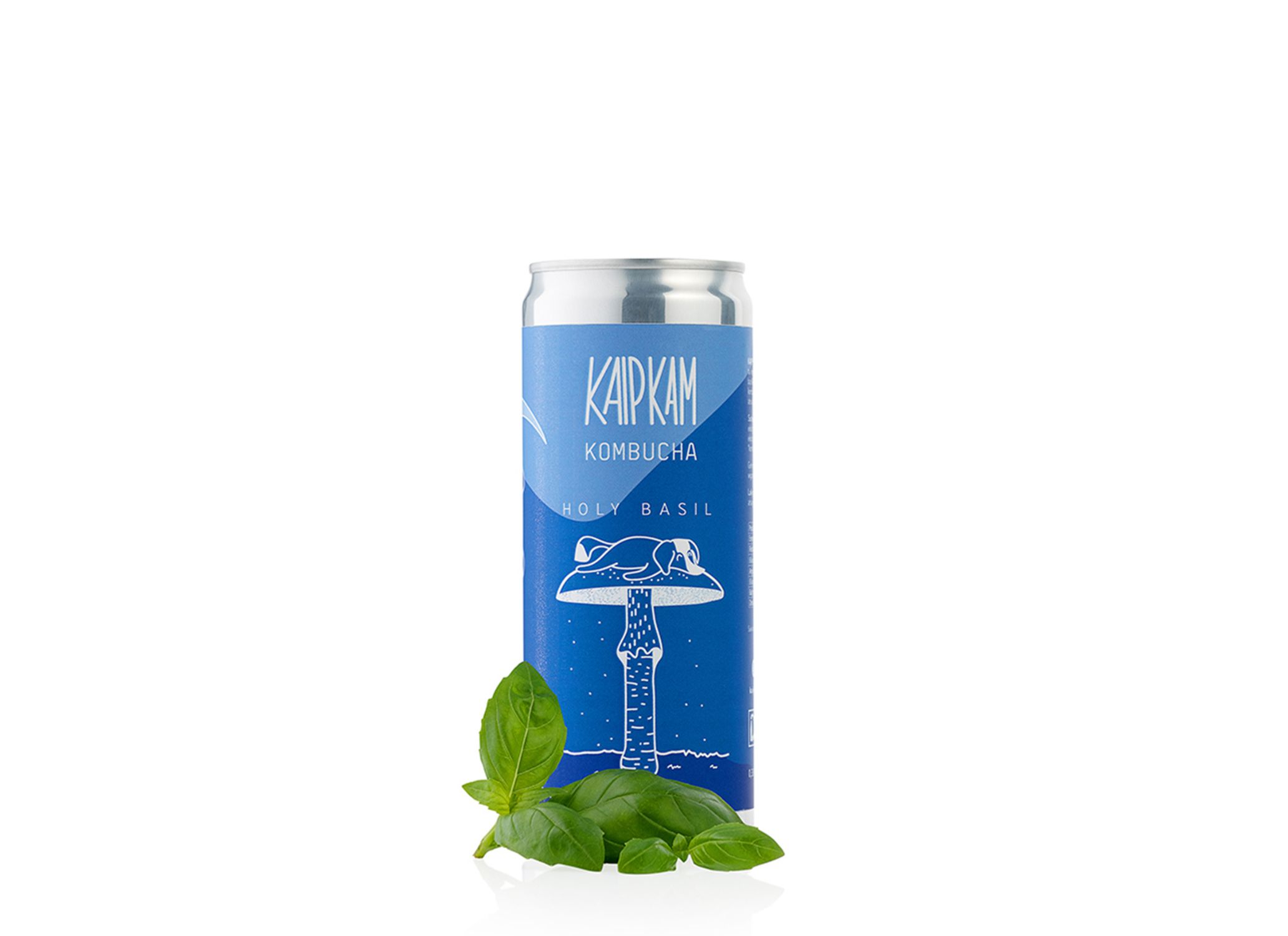 Kombucha